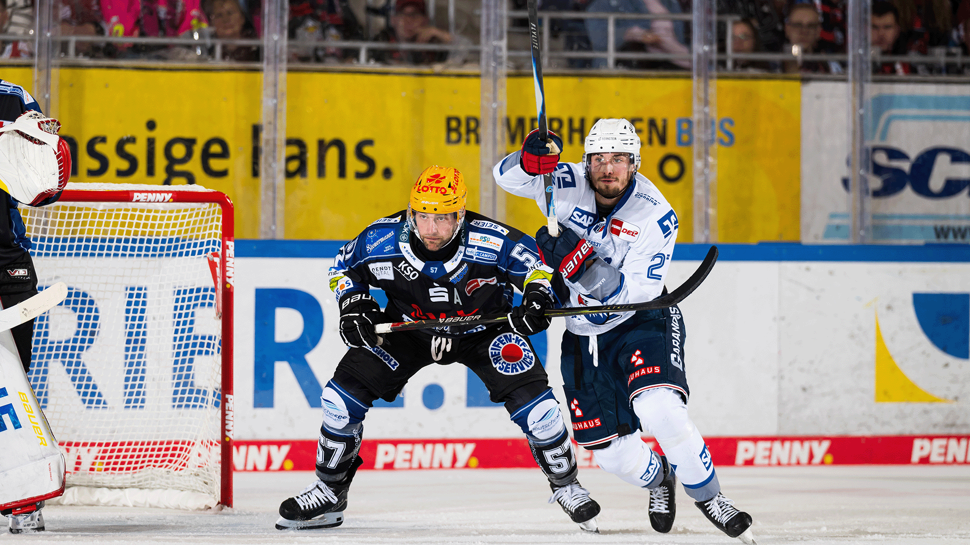Pinguins Bremerhaven gg. Adler Mannheim